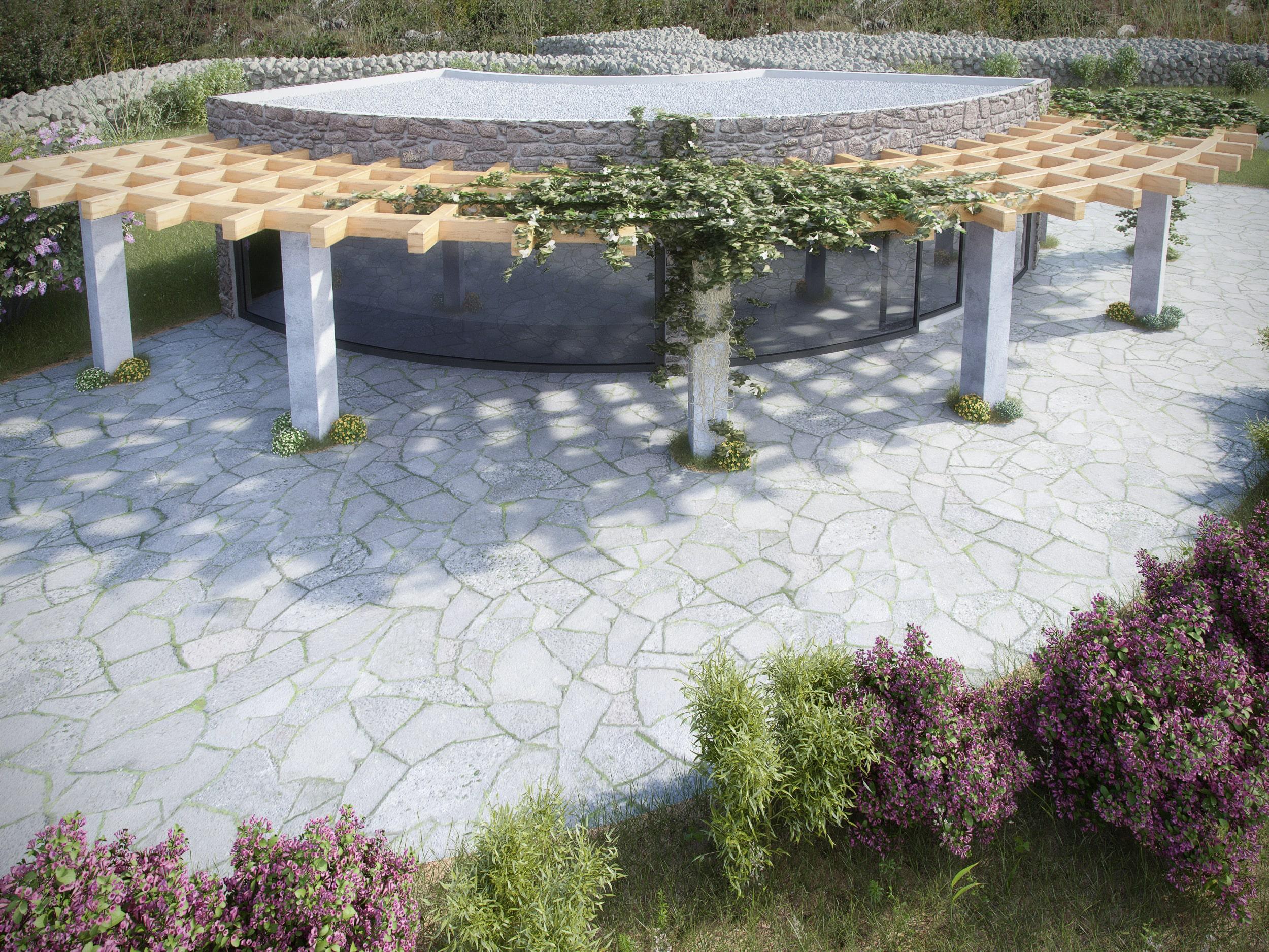 Vineyard and Olive Grove House  image